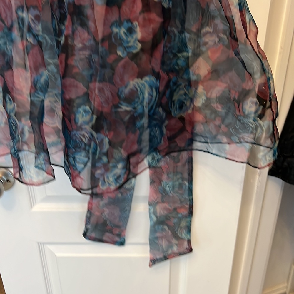 ZARA FLIRAL SHEER DRESS W/BELT - Picture 8 of 10